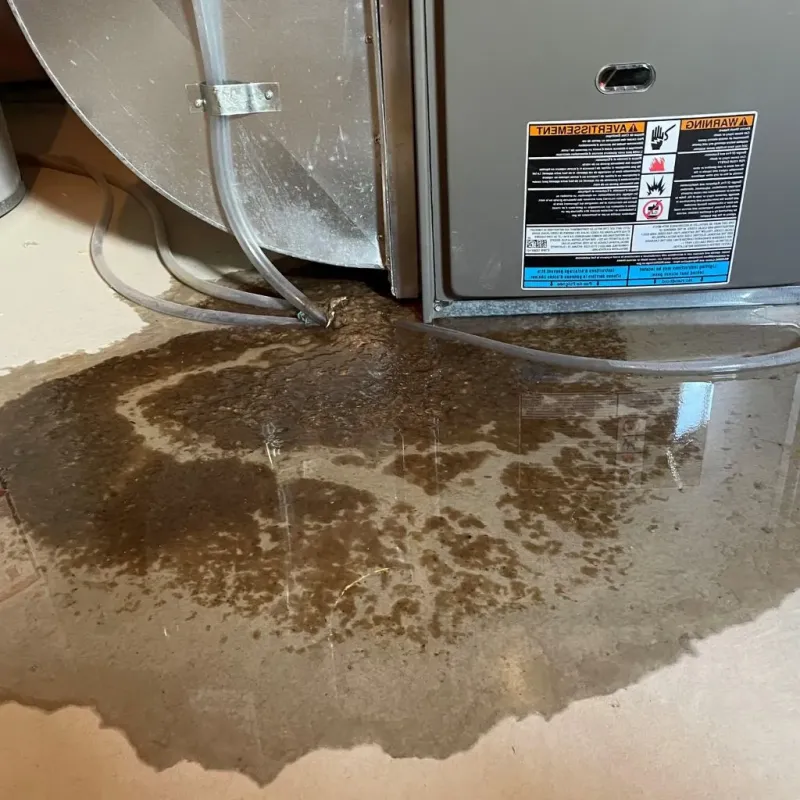 Pipe Burst and Leak Restoration in Eminence, KY